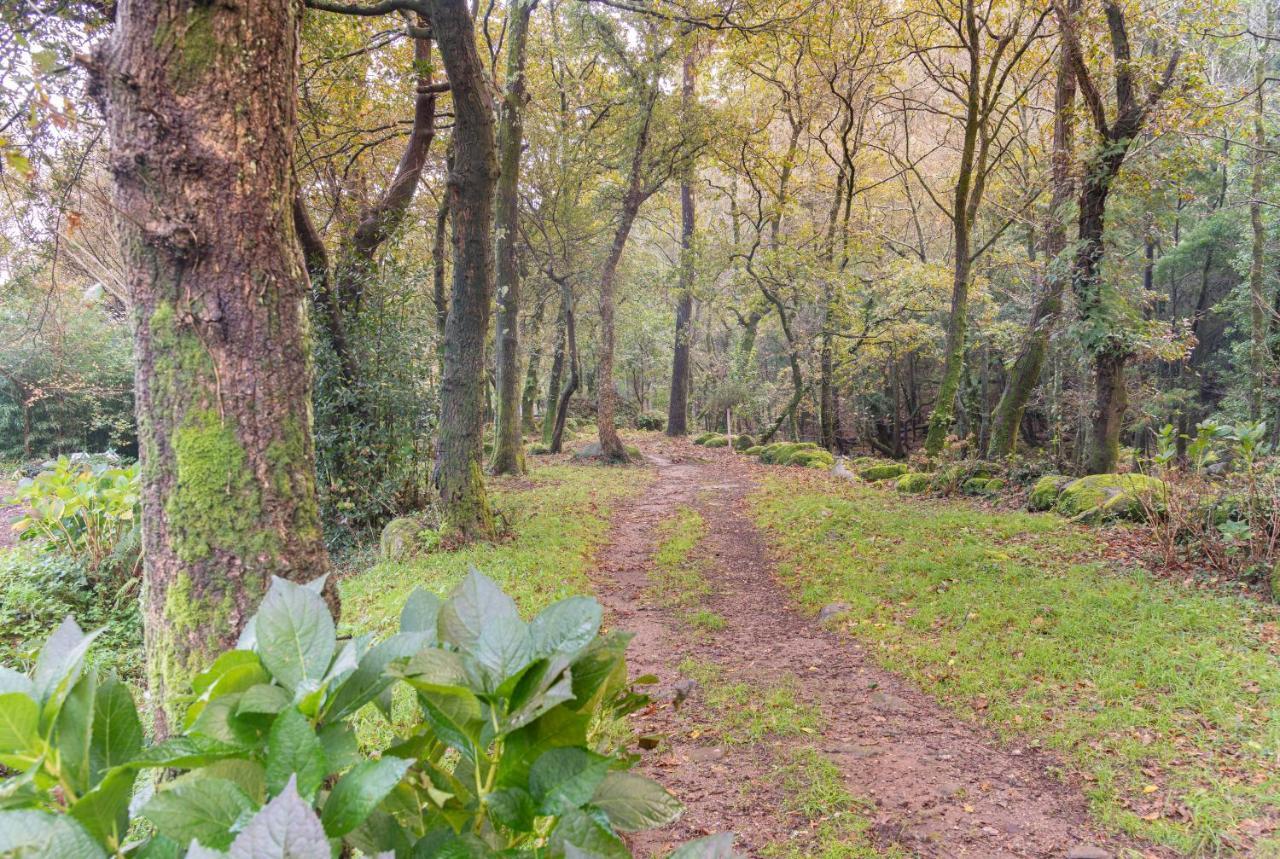 بوبرا دو كارامينيال Entre Os Rios - Casa Rural Y Enoturismo المظهر الخارجي الصورة